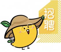 成都夜场招聘,成都豪雅荟KTV高端团队直招中！