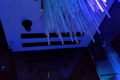 南昌玖号汇夜场招聘礼仪模特,安稳的工作筑造职场温馨港湾