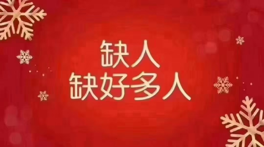 成都南门新开业高端店聘酒水促销/包间服务员日结日结提成高无任