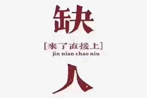 自贡夜总会招聘,自贡夜店招聘信息,团队深厚情谊温暖奋斗旅程
