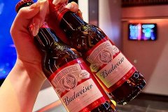 义乌ART酒吧高端夜总会招聘营销员,本地强待遇优厚别错失呀